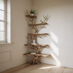 Corner driftwood shelf tree branch bookshelf floating shelf wall mount solid wood bookcase drift wood decor live edge shelves furniture