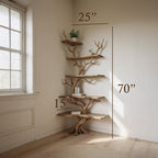 Corner driftwood shelf tree branch bookshelf floating shelf wall mount solid wood bookcase drift wood decor live edge shelves furniture