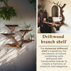 Driftwood floating tree bookshelf walnut color wall mount shelving bookcase solid wood live edge