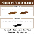 Driftwood shelf solidwood bookshelf art decor tree book shelves wall mount handmade furniture