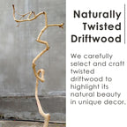 Driftwood floating tree bookshelf walnut color wall mount shelving bookcase solid wood live edge