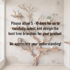 Tree branch bookshelves on wall natural wood bookcase floor bookshelf driftwood wall art unique handcrafted
