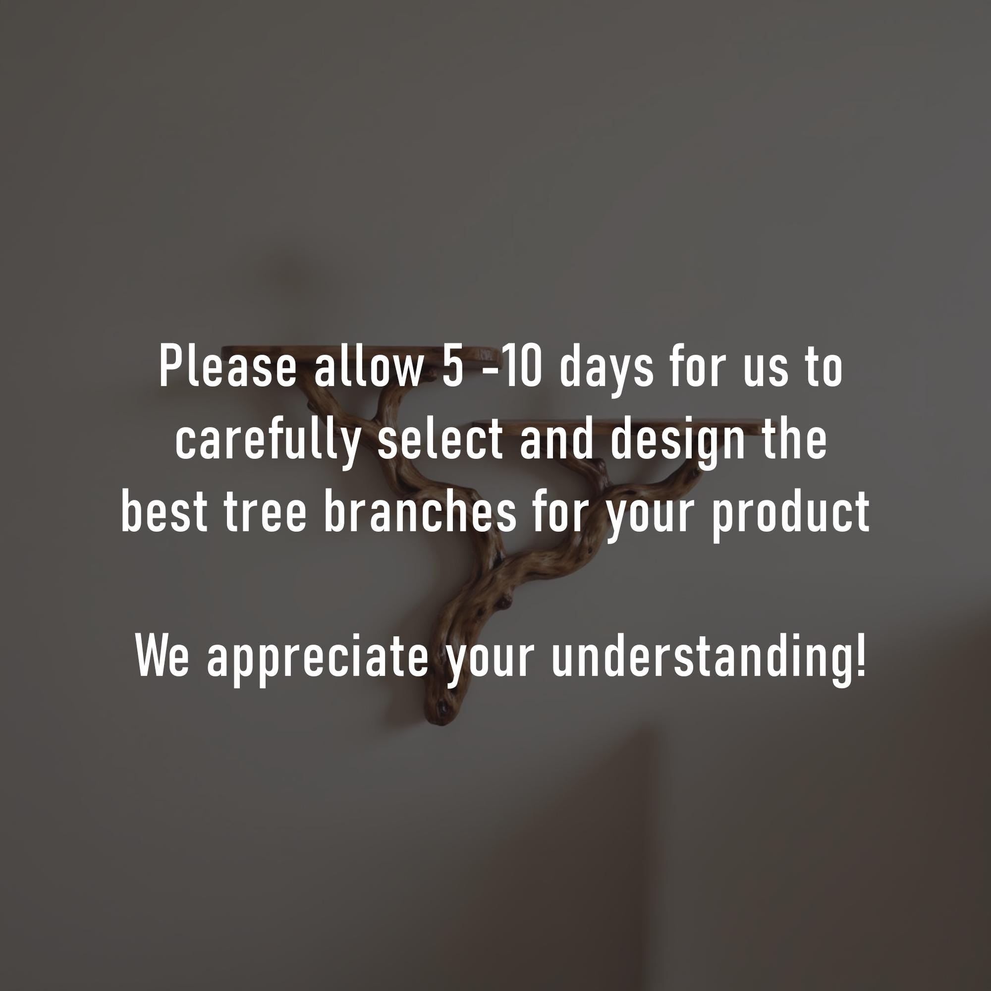 Natural driftwood shelf solidwood bookshelf art decor tree book shelves wall mount handmade furniture