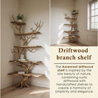 Corner driftwood shelf tree branch bookshelf floating shelf wall mount solid wood bookcase drift wood decor live edge shelves furniture