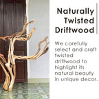 Tree driftwood branch bookshelf art decor bookcase solid wood wall mounted