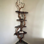 Corner floating bookshelf driftwood branch tree shelf solid wood bookcase live edge shelving wall mount driftwood rustic furniture