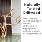 Natural driftwood tree bookshelf branch shape floating bookcase wall mount sculpture furniture