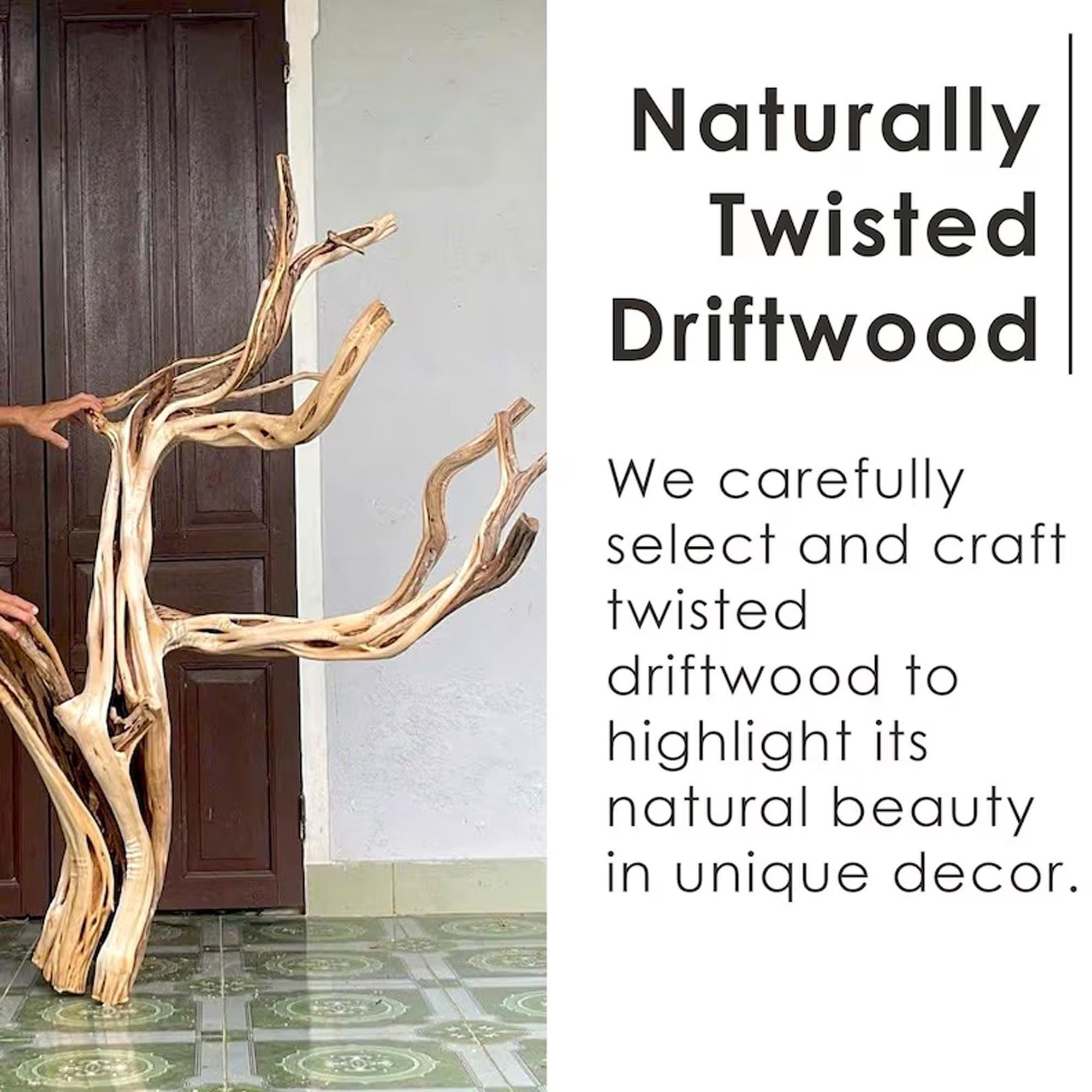 Natural driftwood tree bookshelf branch shape floating bookcase wall mount sculpture furniture