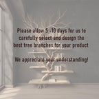 Driftwood tree branch solid wood bookshelf wall mount floating live edge furniture decoration