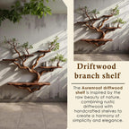 Live edge floating bookshelf wall mounted solid wood shelving driftwood branch art unique bookcase decor gift for housewarming