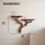 Natural driftwood shelf solidwood bookshelf art decor tree book shelves wall mount handmade furniture