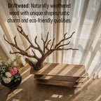 Tree branch bookcase solid wood free standing shelf live edge wood shelves art rustic bookshelf decoration