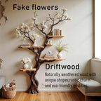 Tree floating shelf solid wood bookshelf wall art natural driftwood branch floor bookcase wood carving decor