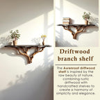 Floating wood tree shelf natural bookshelf solid wood rustic furniture wall mount tree branch shelving handmade furniture decorative
