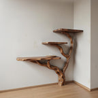 Driftwood console table tree branch shelf handmade rustic solid wood desk unique floating shelf entryway