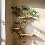 Corner tree bookshelf driftwood tree branch floating shelf wall mount tree bookcase drift wood decor live edge shelf furniture