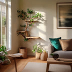 Corner tree bookshelf driftwood tree branch floating shelf wall mount tree bookcase drift wood decor live edge shelf furniture