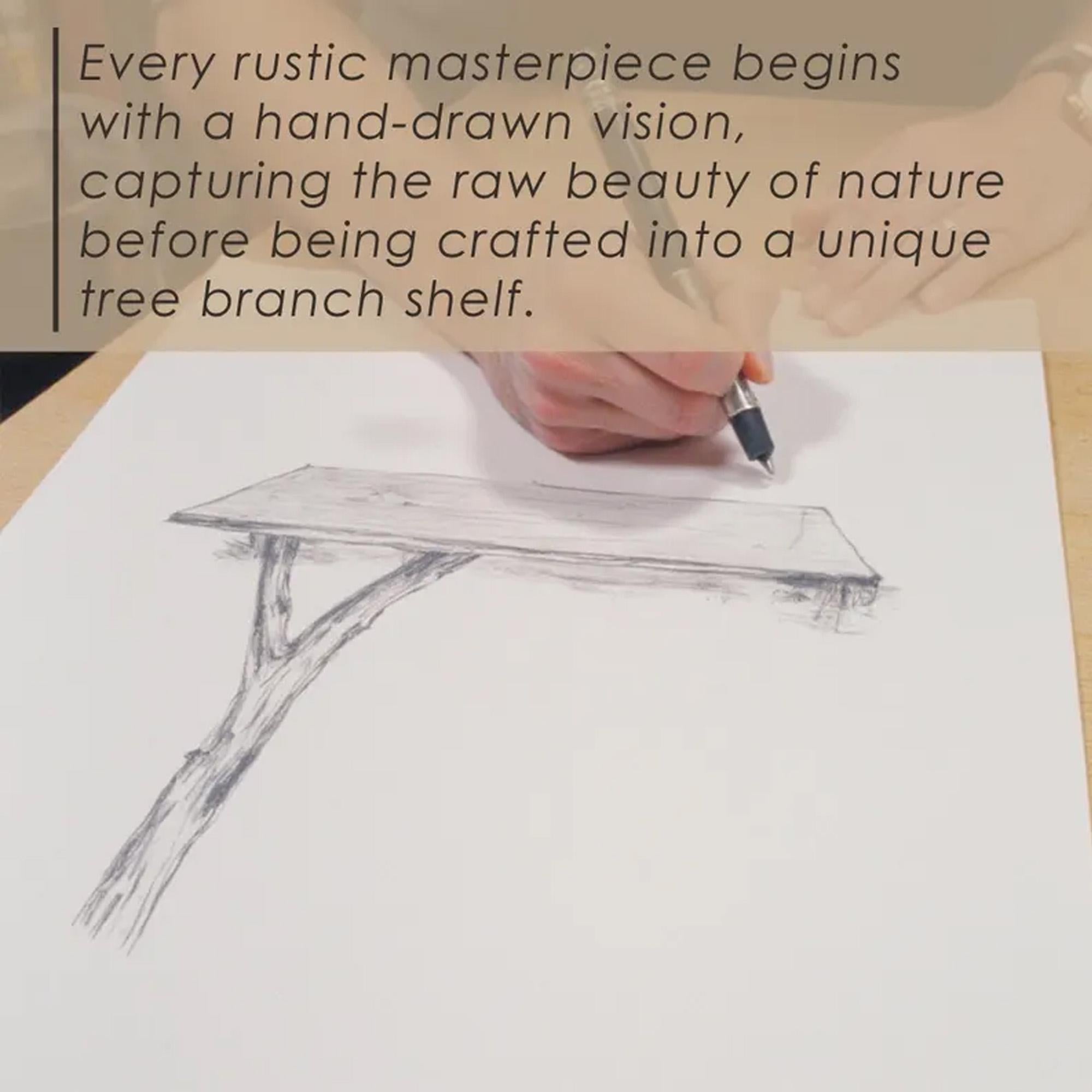 Driftwood floating tree bookshelf walnut color wall mount shelving bookcase solid wood live edge