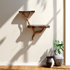 Driftwood floating shelf tree branch wall mount solid wood bookshelf art rustic decor handmade furniture