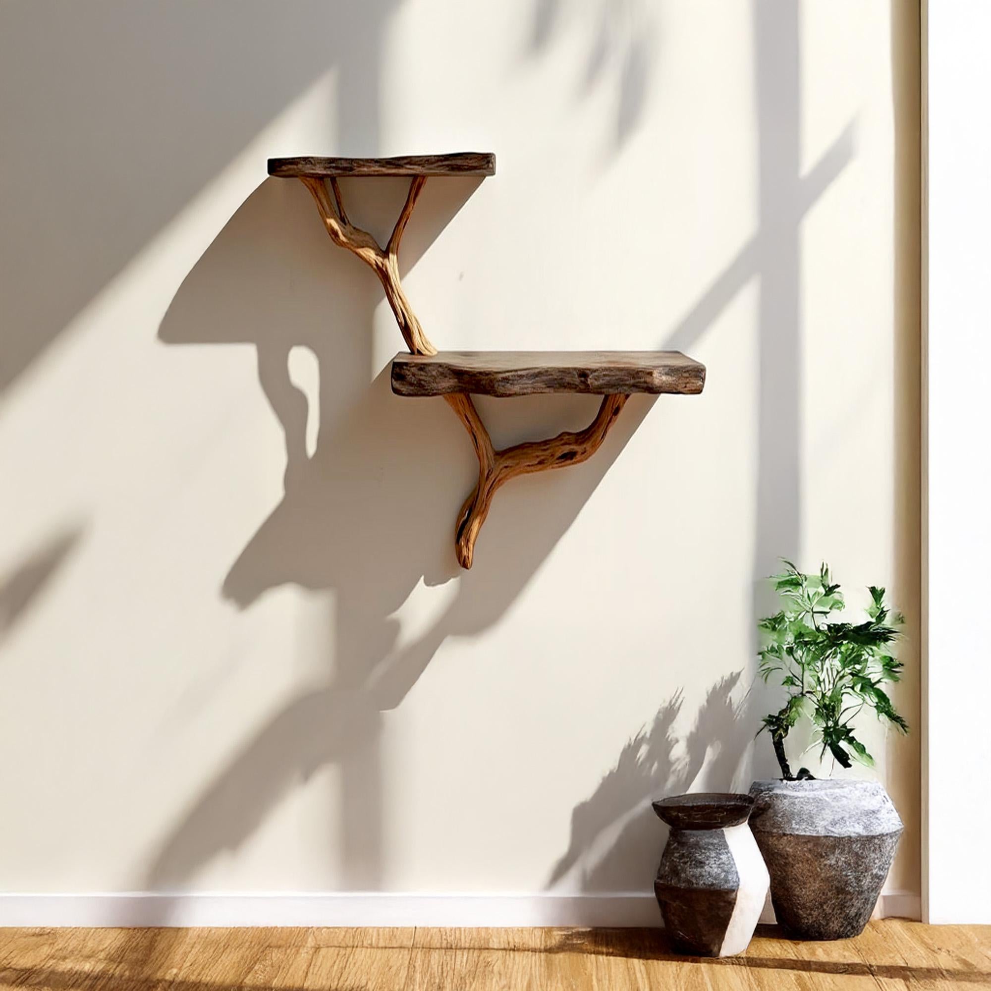 Driftwood floating shelf tree branch wall mount solid wood bookshelf art rustic decor handmade furniture