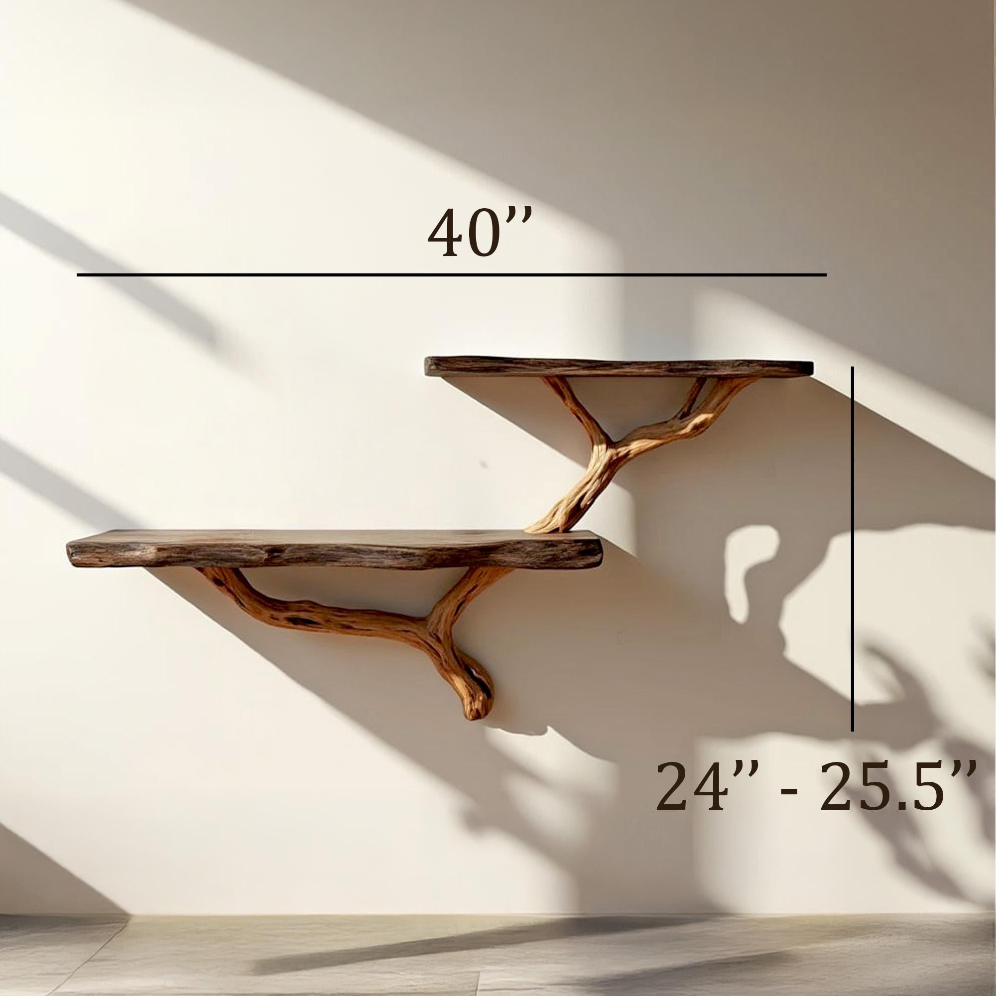 Driftwood floating shelf tree branch wall mount solid wood bookshelf art rustic decor handmade furniture