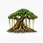 Driftwood bonsai tree aquascape aquarium fish tank plant tree decoration