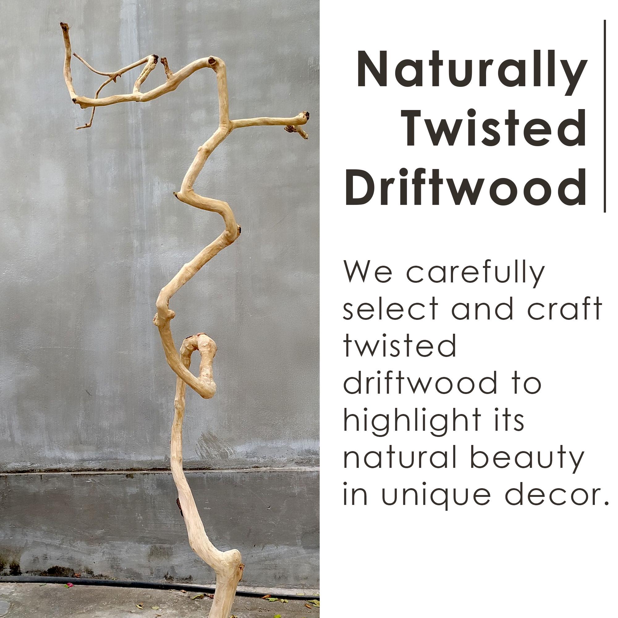 Live edge floating bookshelf wall mounted solid wood shelving driftwood branch art unique bookcase decor gift for housewarming