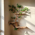 Corner tree bookshelf driftwood tree branch floating shelf wall mount tree bookcase drift wood decor live edge shelf furniture