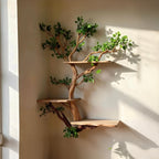 Corner tree bookshelf driftwood tree branch floating shelf wall mount tree bookcase drift wood decor live edge shelf furniture