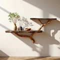 Driftwood floating shelf tree branch wall mount solid wood bookshelf art rustic decor handmade furniture