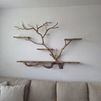 Floating tree bookshelf wall mount solid wood unique shelving driftwood branch wall art