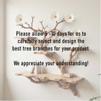 Floating tree bookshelf wall mount solid wood unique shelving driftwood branch wall art
