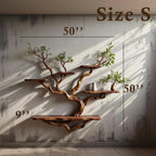 Live edge floating bookshelf wall mounted solid wood shelving driftwood branch art unique bookcase decor gift for housewarming