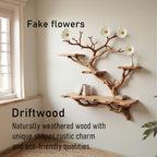 Floating tree bookshelf wall mount solid wood unique shelving driftwood branch wall art